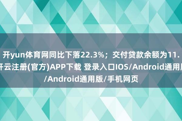 开yun体育网同比下落22.3%；交付贷款余额为11.21万亿元-开云注册(官方)APP下载 登录入口IOS/Android通用版/手机网页
